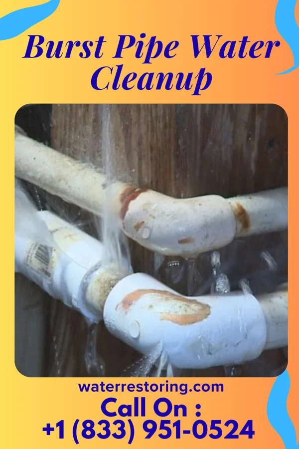 Burst Pipe Water Cleanup in Kosse, TX