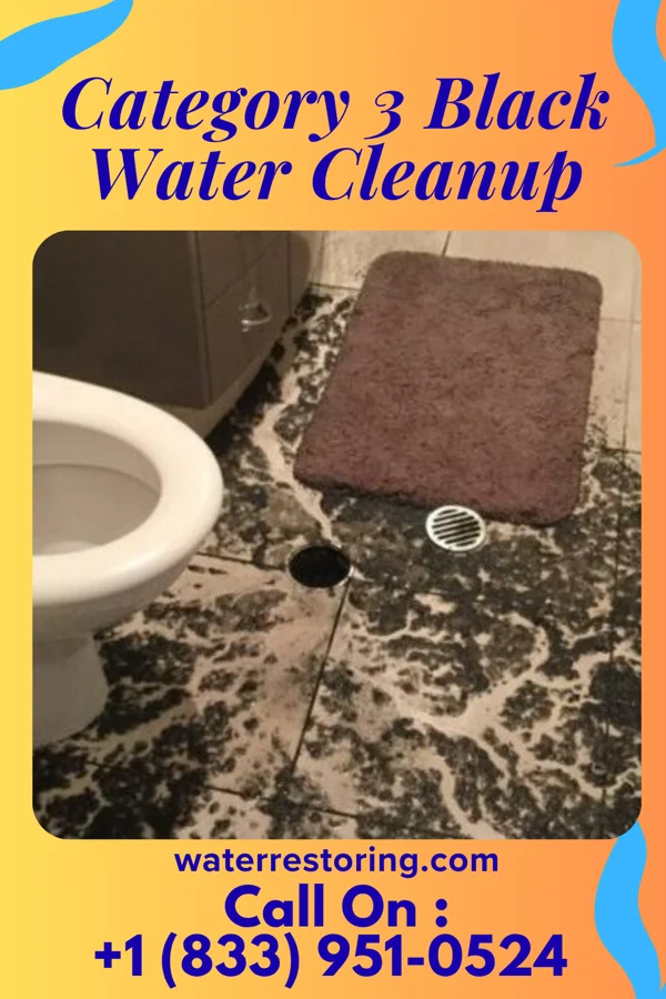 Category 3 Black Water Cleanup in Kosse, TX