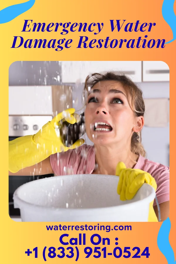Emergency Water Damage Restoration in Kosse, TX