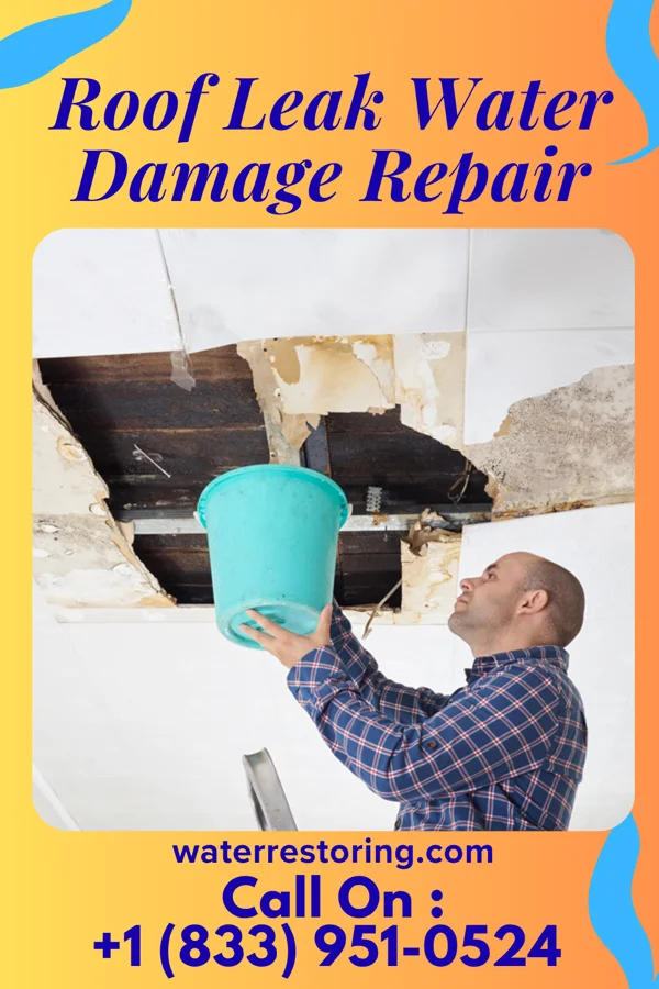 Roof Leak Water Damage Repair in Kosse, TX