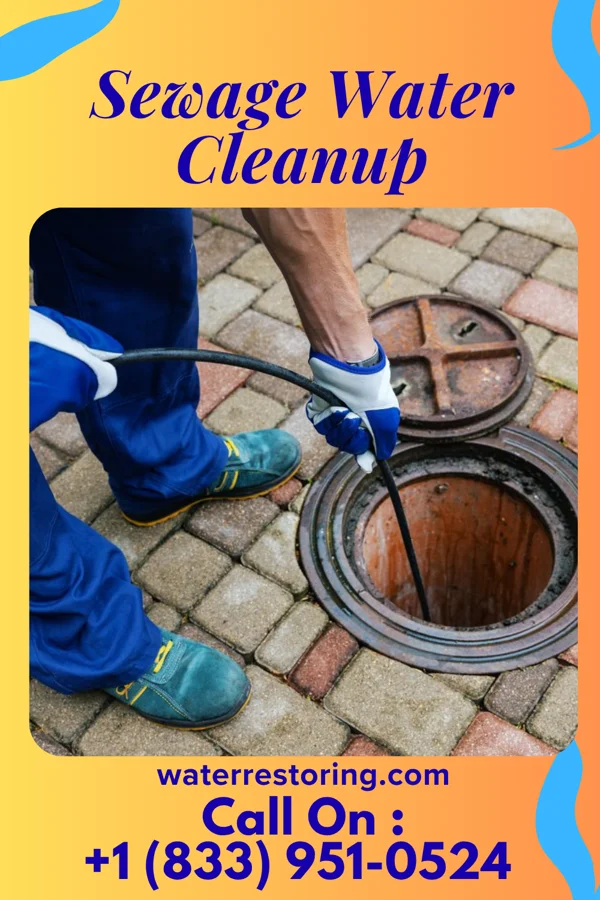 Sewage Water Cleanup in Kosse, TX